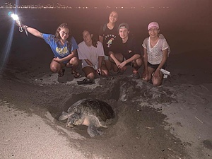 Sea Turtles Conservation
