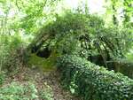 In the heart of the Regional Nature Reserve of Chevreuse 1