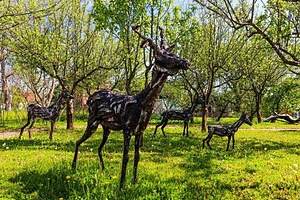 Projet Eco-Art en Croatie, idéal pour grands groupes