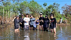 Mulyo Asri Mangrove Project