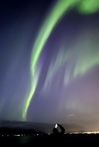  ENVIRONMENT and PHOTO IN THE NEW YEAR