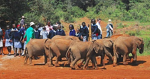 ESIKOMA COMMUNITY HEALTH PROJECT
