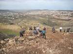Resilience and Re-mobilization towards World Heritage