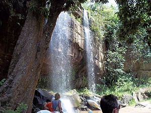 SHIMBA HILLS FOREST GUIDES ASSOCIATION (SHIFOGA)