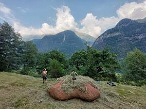 Chestnut forest preservation in Misox (Soazza GR)