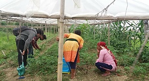 Farming volunteer project