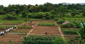 IMMERSION AT THE GAVISA BIODYNAMIC FARM