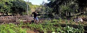 Agriculture et Permaculture