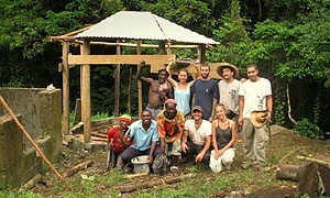 Climate Activism in the Caribbean
