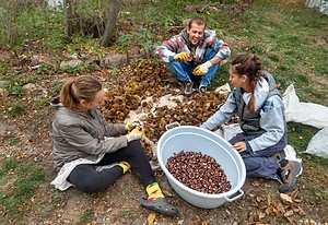 ESC: I know how, empower the group, and heal the Earth