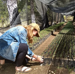 Sustainable agriculture project in Guatemala 