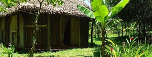 Agriculture et Permaculture