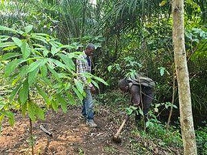 RDC - Village Mbeka Makosso Boma