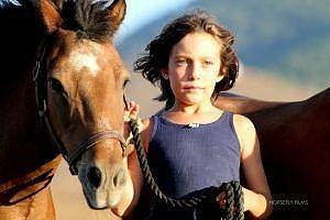 Saving The Skyrian Horses