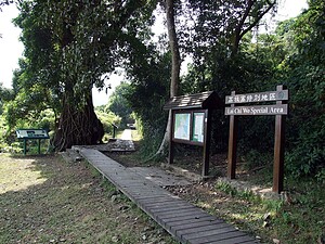 BLOOM BEYOND COFFEE: REVIVING VILLAGES