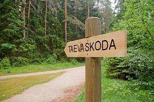 TAEVASKOJA YOUTH CAMP