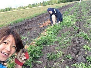 ALT-LAURI ORGANIC FARM I