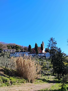 Leivi ESC VEILCORPS