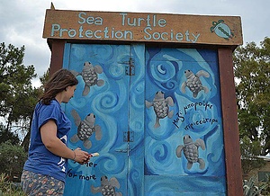 Protecting sea turtle nesting activity - Lakonikos