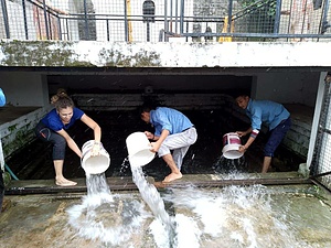 Health and sanitation in India 