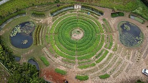 EMBARK ON AGRO-LIVING