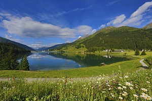 ALP SUMMER