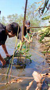 Image not found