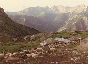 CONSTRUCTION OF A TRADITIONAL FARMING CABIN HOUSE