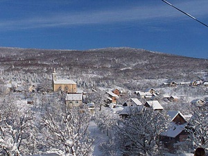 Projet environnemental  protection de la nature dans un refuge pour ours (CES/SVE) 