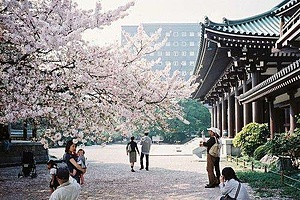 Cours de japonais à Fukuoka