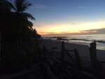 Turtle Conservation in Montezuma
