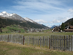 ALP SUMMER