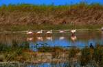 AWARENESS AND CLEANING OF THE VILLA MARÍA WETLAND