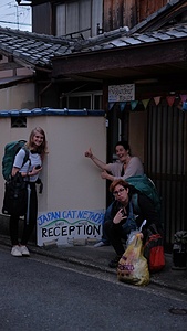 Japan Cat Network Kyoto