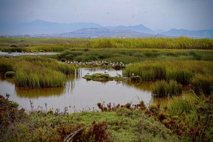AWARENESS AND CLEANING OF THE VILLA MARÍA WETLAND