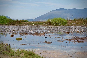 AWARENESS AND CLEANING OF THE VILLA MARÍA WETLAND