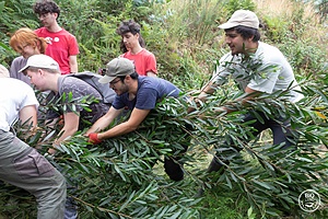 ECOFELVEDA