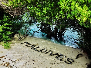 Go Green Maldives