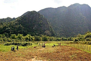 coordinator Roles SAE LAO Project