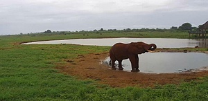 Unesco Project Tsavo Parks and Chyulu Hills Complex