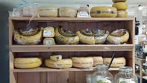 Ferme biodynamique (CES/SVE) 