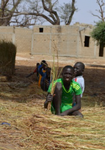 Association Solidarité Belgique Sénégal