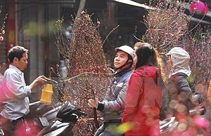 TRADITIONAL NEW YEAR FOR CHILDREN AND FAMILIES