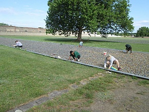 Never forget #1: What happened in Sachsenhausen? Workshops about German NS-history
