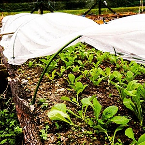 Midori Farm