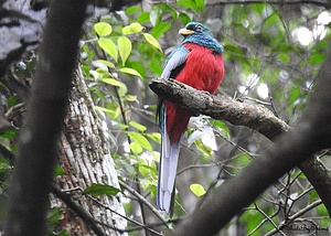 OLOISUKUT GROUP CONSERVANCY
