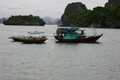 GROUPES_CULTURAL AND ENVIRONMENTAL CONSERVATION ACTIVITIES IN CAT BA ISLAND