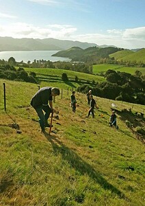 Kaimahi For Nature