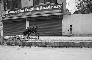 TEACHING ENGLISH AT COMMUNITY SCHOOLS