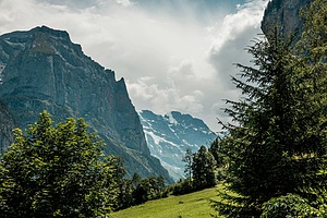 Wald-und Kindertagesstätte Murifeld
